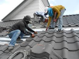 Best Green or Eco-Friendly Roofing Solutions  in Sidy, NE